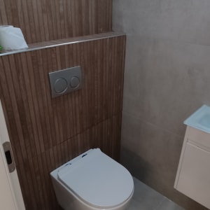 אסלה תלויה עם לחצנים על קיר עץ