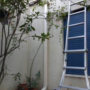 סולם מתכת ליד גג עם מרזב לבן