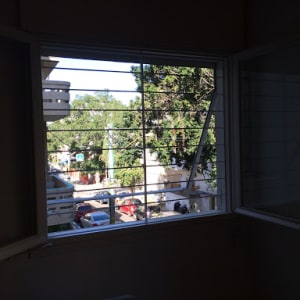 חלון פתוח עם סורגים, נוף חיצוני של עצים