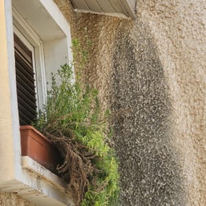 גג מתכת מעל חלון עם עציץ ירוק