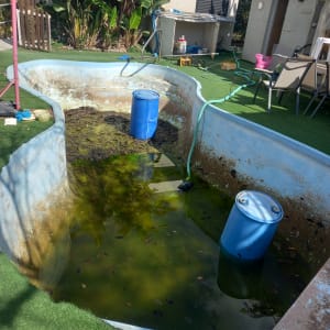 בריכה ריקה למחצה עם מים ירוקים, חביות כחולות וצינור ירוק