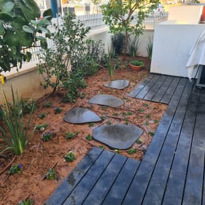 שביל אבנים בגינה עם צמחים ופרחים קטנים