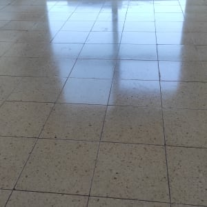 רצפה מבריקה ונקייה עם השתקפות חלון