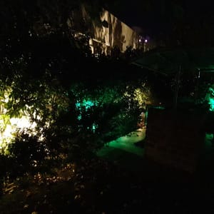 אורות צבעוניים מאירים גינה בלילה