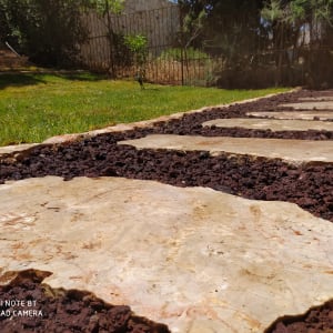 שביל אבנים בגינה עם אדמה חומה מסביב