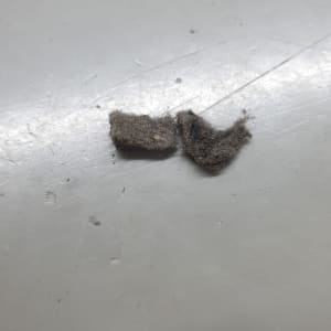 שני גושי אבק על משטח לבן