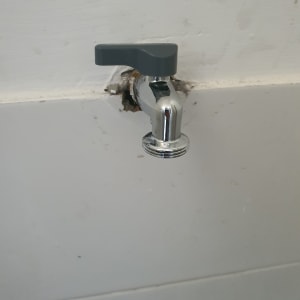 ברז מים מותקן על קיר לבן