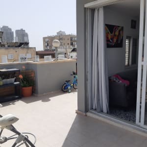 מרפסת עם צעצועים וצמחים, דלת זכוכית פתוחה לסלון