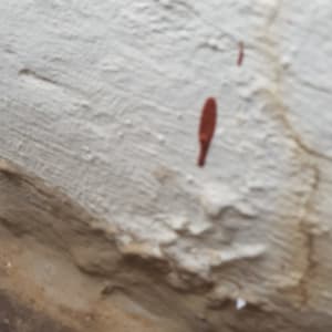 סדק בקיר עם חומר איטום חום