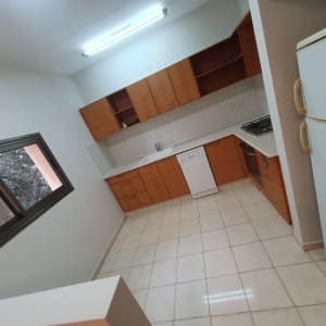 מטבח נקי עם ארונות עץ, כיור ומדיח כלים