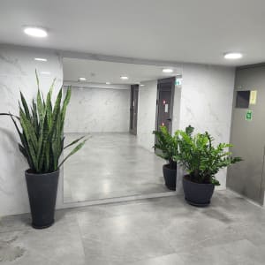 מראה גדולה על קיר שיש לבן