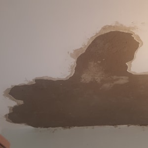 תקרה עם קילופי צבע וחלקים חשופים