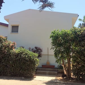 מטאטא ליד קיר בית לבן עם שיחים מסביב