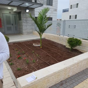 ערוגת גינה עם צינורות השקיה ושתילים צעירים