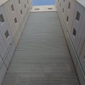 רשת למניעת כניסת יונים בין בניינים גבוהים