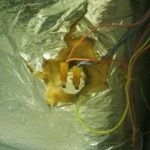 חוטי חשמל צבעוניים מחוברים לשקע בקיר מבודד