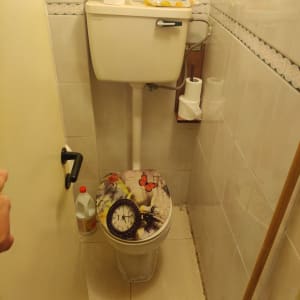 אסלה עם מכסה מעוצב, מיכל הדחה, בקבוק חומר ניקוי