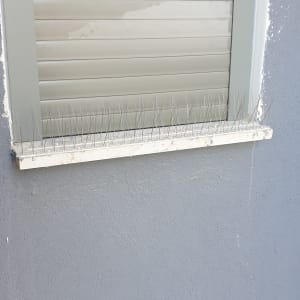 דוקרנים למניעת יונים על אדן חלון