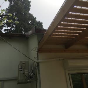 עץ גבוה ליד מבנה עם גג עץ