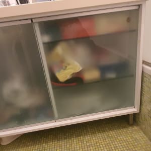 דלתות זכוכית חלבית בארון אמבטיה