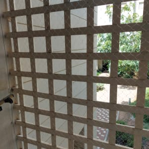 רשת מתכת על מסגרת עץ למניעת כניסת יונים