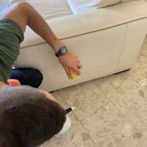 אדם מנקה ספה עם ספוג ובקבוק תרסיס