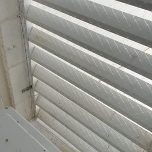 רשת מתכת מותקנת על חלון למניעת כניסת יונים