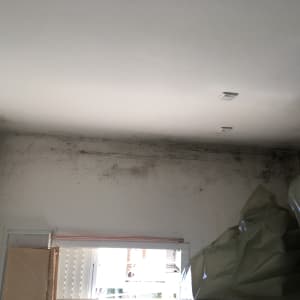 קיר עם עובש בתקרה ליד חלון