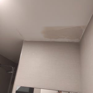 תיקון תקרה עם סימני רטיבות