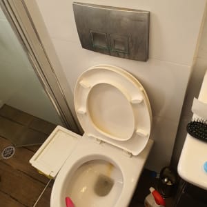 אסלה פתוחה עם חומר ניקוי צבעוני בפנים