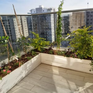 עציצים עם צמחים ופרחים על מרפסת