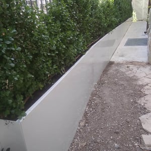 מראה כללי של האדנית