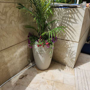 עציץ גדול עם צמח ירוק ופרחים צבעוניים