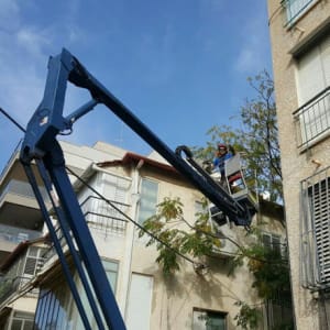 כריתת ענפים גבוהים עם מנוף