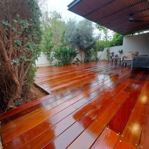 דק עץ מבריק בגינה עם צמחייה מסביב