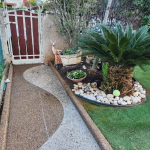 שיחים ועציצים עם פרחים בשביל גינה