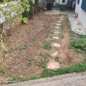 שביל אבנים בגינה עם צינור השקיה