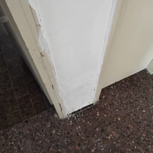 קיר מתוקן עם טיח טרי ליד דלת