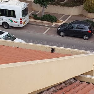 דוקרנים על גג למניעת קינון יונים