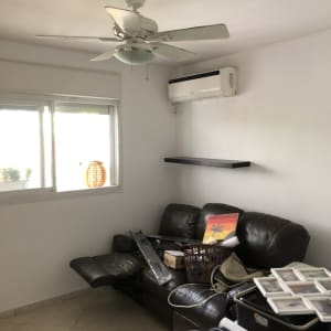 ציור של עץ דקל על רקע כתום וצהוב