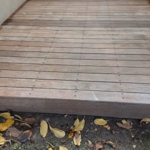 דק עץ עם עלים יבשים וכלי צביעה