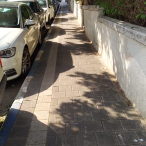 שיחים ירוקים לאורך שביל עם עצים