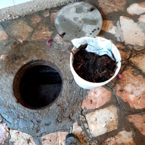 פתח ביוב פתוח ודלי עם שורשים