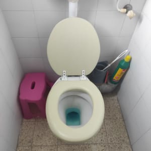 אסלה עם חומר ניקוי ומברשת שירותים