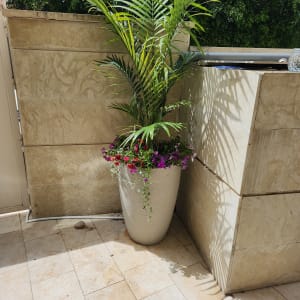 עציץ גדול עם צמח ירוק ופרחים צבעוניים