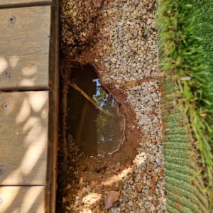 שלולית מים קטנה באדמה ליד דק ועשב סינתטי