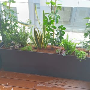 עציצים עם צמחים ירוקים ופרחים במרפסת