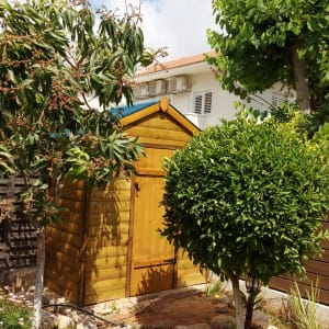 מחסן עץ בגינה עם עצים מסביב