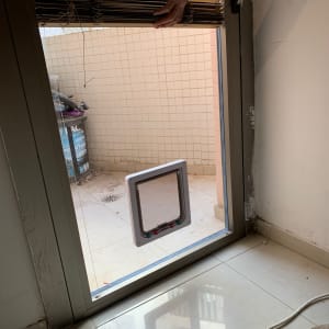 דלת זכוכית עם פתח לחיות מחמד