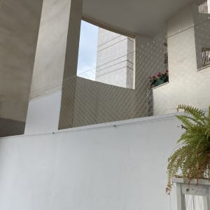 רשת מתכת מותקנת למניעת כניסת יונים